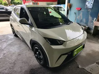 BYD Seagull 2024 купить из Китая, цена 1 280 000 ₽ — Suifenhe Auto