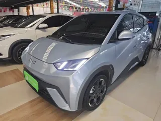 BYD Seagull 2024 купить из Китая, цена 1 352 000 ₽ — Suifenhe Auto