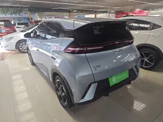 BYD Seagull 2024 купить из Китая, цена 1 352 000 ₽ — Suifenhe Auto