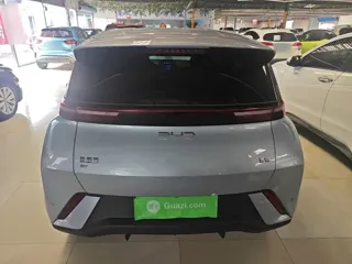 BYD Seagull 2024 купить из Китая, цена 1 352 000 ₽ — Suifenhe Auto