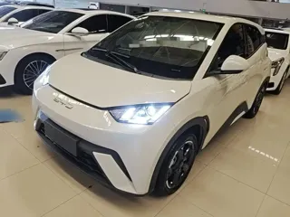 BYD Seagull 2023 купить из Китая, цена 1 332 000 ₽ — Suifenhe Auto