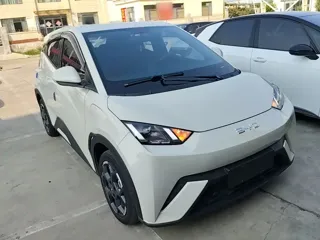 BYD Seagull 2024 купить из Китая, цена 1 305 000 ₽ — Suifenhe Auto