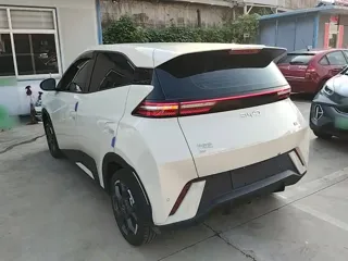BYD Seagull 2024 купить из Китая, цена 1 305 000 ₽ — Suifenhe Auto