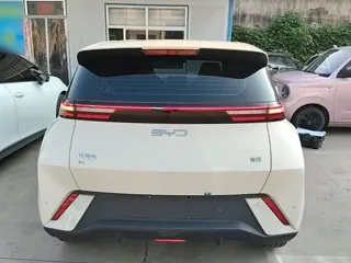 BYD Seagull 2024 купить из Китая, цена 1 305 000 ₽ — Suifenhe Auto
