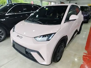 BYD Seagull 2025 купить из Китая, цена 1 385 000 ₽ — Suifenhe Auto