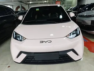 BYD Seagull 2025 купить из Китая, цена 1 385 000 ₽ — Suifenhe Auto