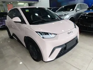 BYD Seagull 2025 купить из Китая, цена 1 385 000 ₽ — Suifenhe Auto