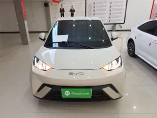 BYD Seagull 2024 купить из Китая, цена 1 240 000 ₽ — Suifenhe Auto