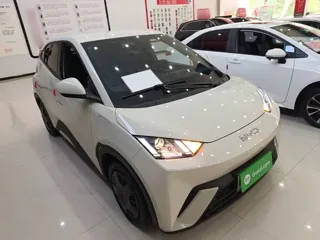 BYD Seagull 2024 купить из Китая, цена 1 240 000 ₽ — Suifenhe Auto