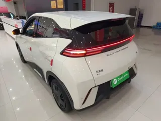 BYD Seagull 2024 купить из Китая, цена 1 240 000 ₽ — Suifenhe Auto