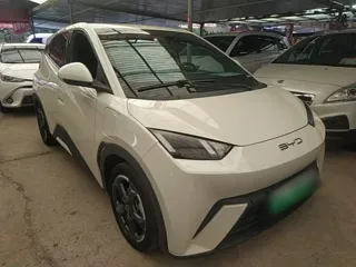 BYD Seagull 2024 купить из Китая, цена 1 287 000 ₽ — Suifenhe Auto