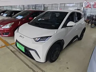 BYD Seagull 2024 купить из Китая, цена 1 307 000 ₽ — Suifenhe Auto