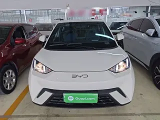 BYD Seagull 2024 купить из Китая, цена 1 307 000 ₽ — Suifenhe Auto