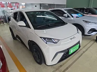 BYD Seagull 2024 купить из Китая, цена 1 307 000 ₽ — Suifenhe Auto