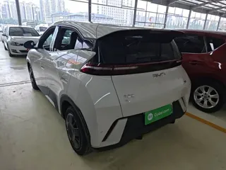 BYD Seagull 2024 купить из Китая, цена 1 307 000 ₽ — Suifenhe Auto