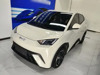 BYD Seagull 2024 купить из Китая, цена 1 363 000 ₽ — Suifenhe Auto