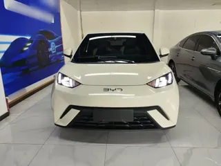BYD Seagull 2024 купить из Китая, цена 1 363 000 ₽ — Suifenhe Auto