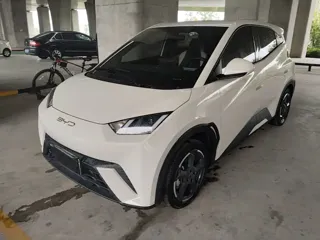 BYD Seagull 2024 купить из Китая, цена 1 314 000 ₽ — Suifenhe Auto