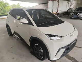 BYD Seagull 2024 купить из Китая, цена 1 314 000 ₽ — Suifenhe Auto