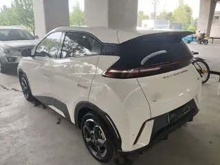 BYD Seagull 2024 купить из Китая, цена 1 314 000 ₽ — Suifenhe Auto