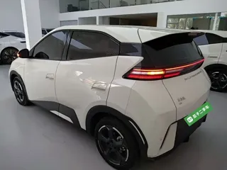 BYD Seagull 2024 купить из Китая, цена 1 305 000 ₽ — Suifenhe Auto