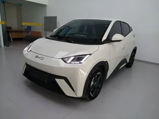 BYD Seagull 2024 купить из Китая, цена 1 290 000 ₽ — Suifenhe Auto