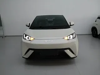 BYD Seagull 2024 купить из Китая, цена 1 290 000 ₽ — Suifenhe Auto