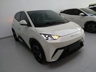 BYD Seagull 2024 купить из Китая, цена 1 290 000 ₽ — Suifenhe Auto