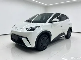 BYD Seagull 2025 купить из Китая, цена 1 321 000 ₽ — Suifenhe Auto