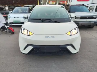 BYD Seagull 2025 купить из Китая, цена 1 321 000 ₽ — Suifenhe Auto