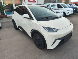 BYD Seagull 2025 купить из Китая, цена 1 321 000 ₽ — Suifenhe Auto