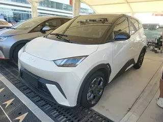 BYD Seagull 2025 купить из Китая, цена 1 367 000 ₽ — Suifenhe Auto
