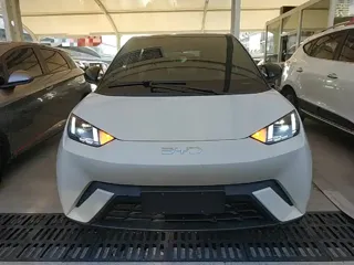 BYD Seagull 2025 купить из Китая, цена 1 367 000 ₽ — Suifenhe Auto