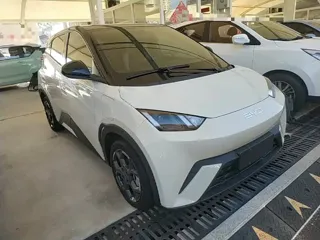 BYD Seagull 2025 купить из Китая, цена 1 367 000 ₽ — Suifenhe Auto