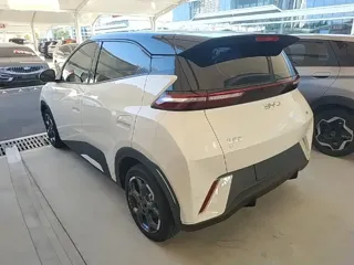 BYD Seagull 2025 купить из Китая, цена 1 367 000 ₽ — Suifenhe Auto