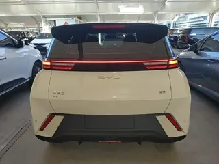 BYD Seagull 2025 купить из Китая, цена 1 367 000 ₽ — Suifenhe Auto