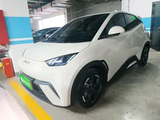 BYD Seagull 2024 купить из Китая, цена 1 392 000 ₽ — Suifenhe Auto