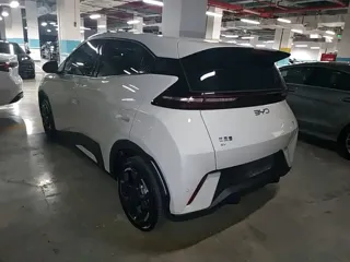 BYD Seagull 2024 купить из Китая, цена 1 392 000 ₽ — Suifenhe Auto