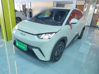 BYD Seagull 2024 купить из Китая, цена 1 505 000 ₽ — Suifenhe Auto