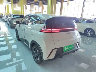 BYD Seagull 2024 купить из Китая, цена 1 505 000 ₽ — Suifenhe Auto