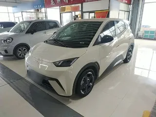 BYD Seagull 2024 купить из Китая, цена 1 289 000 ₽ — Suifenhe Auto
