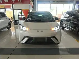 BYD Seagull 2024 купить из Китая, цена 1 289 000 ₽ — Suifenhe Auto