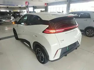 BYD Seagull 2024 купить из Китая, цена 1 289 000 ₽ — Suifenhe Auto