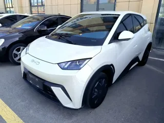 BYD Seagull 2024 купить из Китая, цена 1 209 000 ₽ — Suifenhe Auto