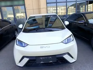 BYD Seagull 2024 купить из Китая, цена 1 209 000 ₽ — Suifenhe Auto