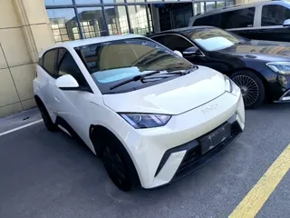 BYD Seagull 2024 купить из Китая, цена 1 209 000 ₽ — Suifenhe Auto