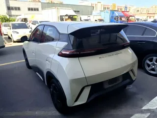 BYD Seagull 2024 купить из Китая, цена 1 209 000 ₽ — Suifenhe Auto