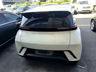 BYD Seagull 2024 купить из Китая, цена 1 209 000 ₽ — Suifenhe Auto