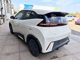 BYD Seagull 2024 купить из Китая, цена 1 270 000 ₽ — Suifenhe Auto