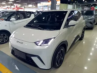 BYD Seagull 2023 купить из Китая, цена 1 370 000 ₽ — Suifenhe Auto